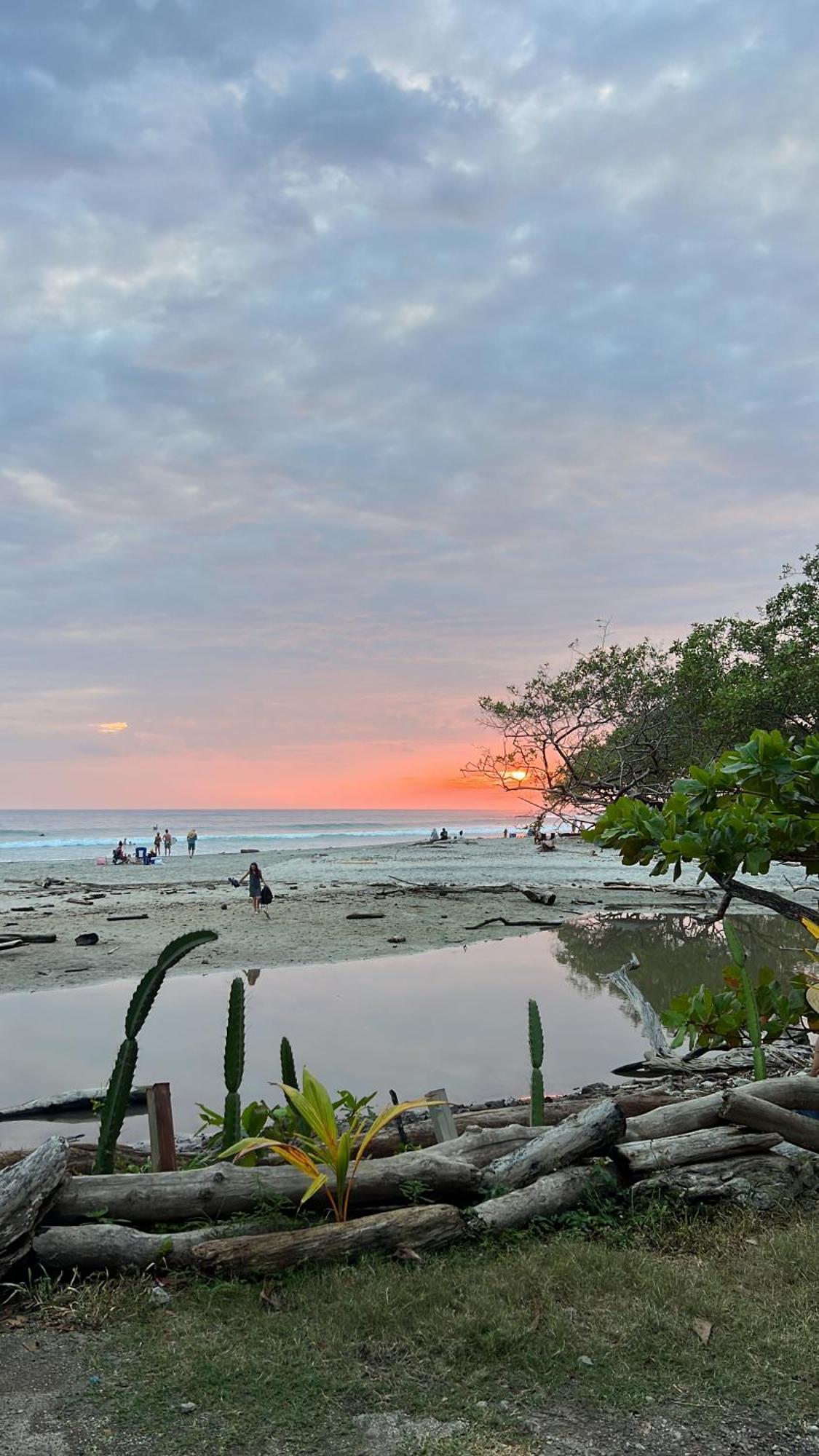 Hotel La Flor De Coco 5*